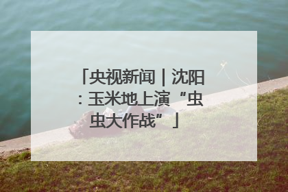 央视新闻｜沈阳：玉米地上演“虫虫大作战”