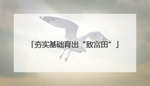 夯实基础育出“致富田”