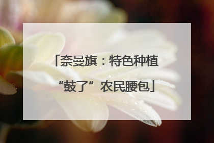 奈曼旗：特色种植“鼓了”农民腰包