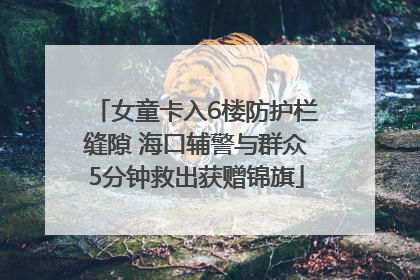 女童卡入6楼防护栏缝隙 海口辅警与群众5分钟救出获赠锦旗