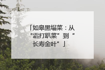 如皋黑塌菜：从“霜打趴菜”到“长寿金叶”