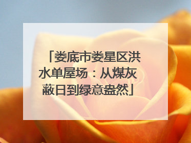 娄底市娄星区洪水单屋场：从煤灰蔽日到绿意盎然