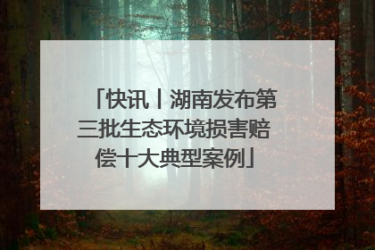 快讯丨湖南发布第三批生态环境损害赔偿十大典型案例