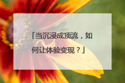 当沉浸成顶流，如何让体验变现？
