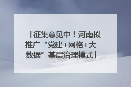 征集意见中！河南拟推广“党建+网格+大数据”基层治理模式