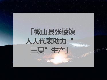 微山县张楼镇人大代表助力“三夏”生产