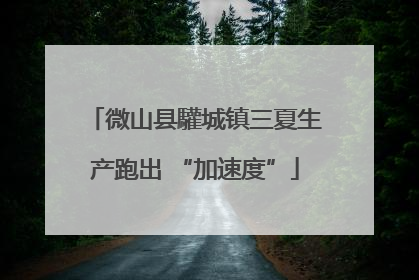 微山县驩城镇三夏生产跑出 “加速度”