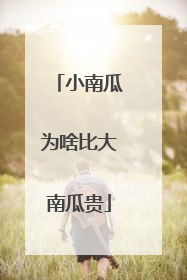 小南瓜为啥比大南瓜贵