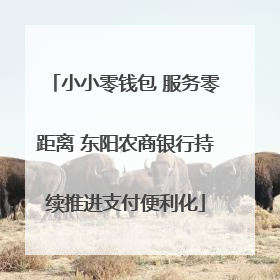 小小零钱包 服务零距离 东阳农商银行持续推进支付便利化