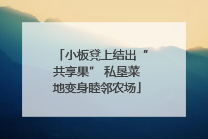 小板凳上结出“共享果” 私垦菜地变身睦邻农场