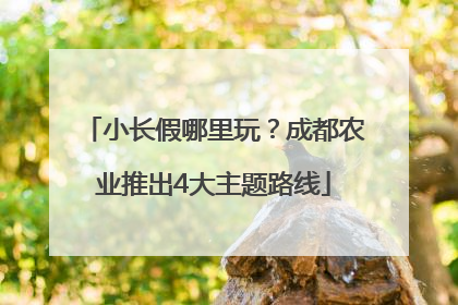 小长假哪里玩？成都农业推出4大主题路线