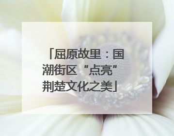 屈原故里：国潮街区“点亮”荆楚文化之美