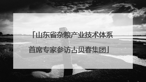 山东省杂粮产业技术体系首席专家参访古贝春集团
