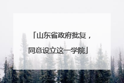 山东省政府批复，同意设立这一学院