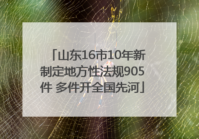 山东16市10年新制定地方性法规905件 多件开全国先河