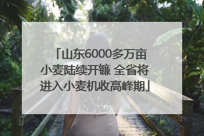 山东6000多万亩小麦陆续开镰 全省将进入小麦机收高峰期