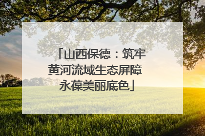 山西保德：筑牢黄河流域生态屏障 永葆美丽底色