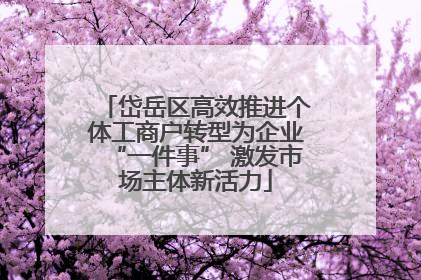 岱岳区高效推进个体工商户转型为企业“一件事” 激发市场主体新活力