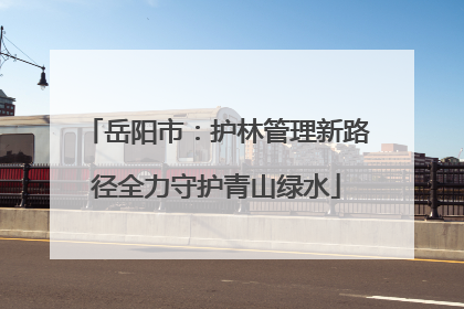 岳阳市：护林管理新路径全力守护青山绿水