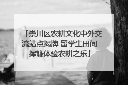 崇川区农耕文化中外交流站点揭牌 留学生田间挥镰体验农耕之乐