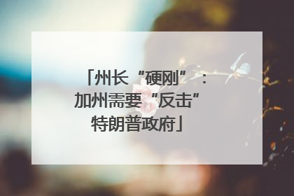 州长“硬刚”：加州需要“反击”特朗普政府