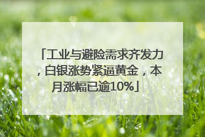 工业与避险需求齐发力，白银涨势紧逼黄金，本月涨幅已逾10%