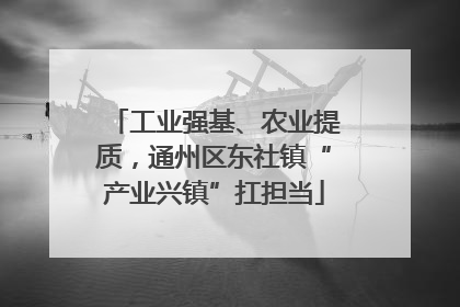 工业强基、农业提质，通州区东社镇“产业兴镇”扛担当