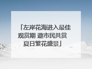 左岸花海进入最佳观赏期 邀市民共赏夏日繁花盛景