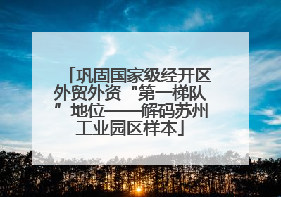 巩固国家级经开区外贸外资“第一梯队”地位——解码苏州工业园区样本