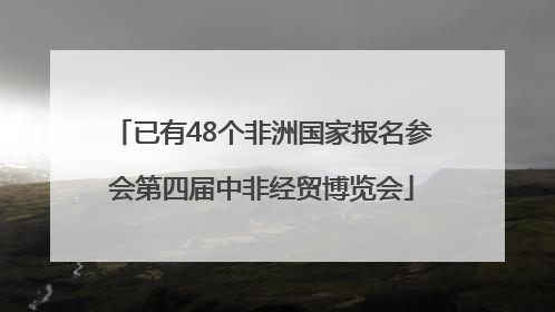 已有48个非洲国家报名参会第四届中非经贸博览会