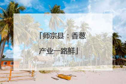 师宗县：香葱产业一路鲜