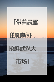 带着晨露的阳新虾，抢鲜武汉大市场