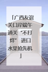 广西友谊关口岸端午通关“不打烊” 进口水果抢先机