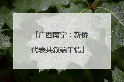 广西南宁：新侨代表共叙端午情