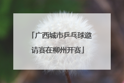 广西城市乒乓球邀请赛在柳州开赛