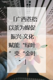 广西苍梧以茶为媒促振兴 文化赋能“绿叶”变“金叶”