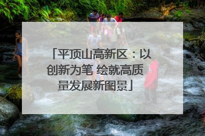 平顶山高新区：以创新为笔 绘就高质量发展新图景