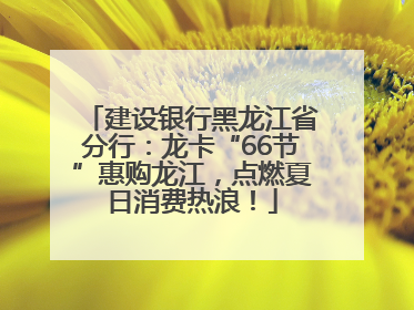 建设银行黑龙江省分行：龙卡“66节”惠购龙江，点燃夏日消费热浪！