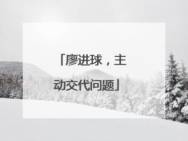 廖进球，主动交代问题