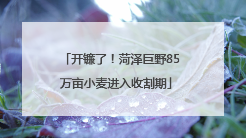 开镰了！菏泽巨野85万亩小麦进入收割期