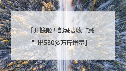 开镰啦！邹城麦收“减”出530多万斤增量