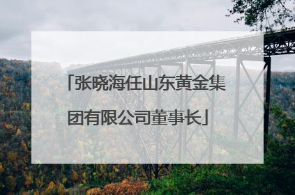 张晓海任山东黄金集团有限公司董事长