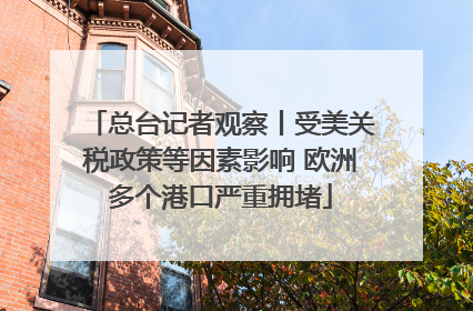总台记者观察丨受美关税政策等因素影响 欧洲多个港口严重拥堵