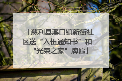 慈利县溪口镇新街社区送“入伍通知书”和“光荣之家”牌匾