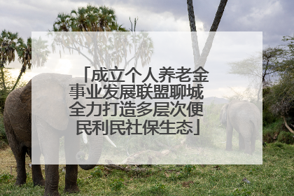 成立个人养老金事业发展联盟聊城全力打造多层次便民利民社保生态