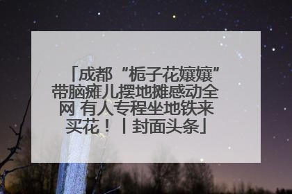 成都“栀子花孃孃”带脑瘫儿摆地摊感动全网 有人专程坐地铁来买花！丨封面头条