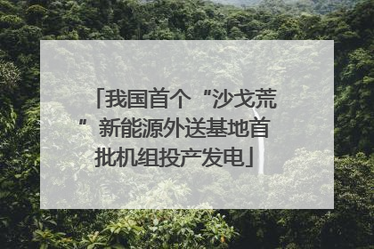 我国首个“沙戈荒”新能源外送基地首批机组投产发电