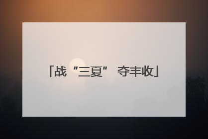 战“三夏” 夺丰收