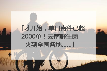 才开始，单日寄件已超2000单！云南野生菌火到全国各地……