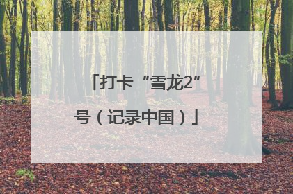打卡“雪龙2”号（记录中国）